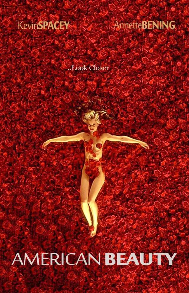 美国丽人   American Beauty   美丽有罪  美国心·玫瑰情 (Reg)