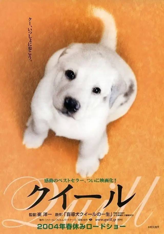 导盲犬小Q   クイール   再见了！可鲁  Quill (Reg)
